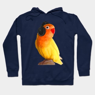 Bird Listening to Music in Outer Space Hoodie